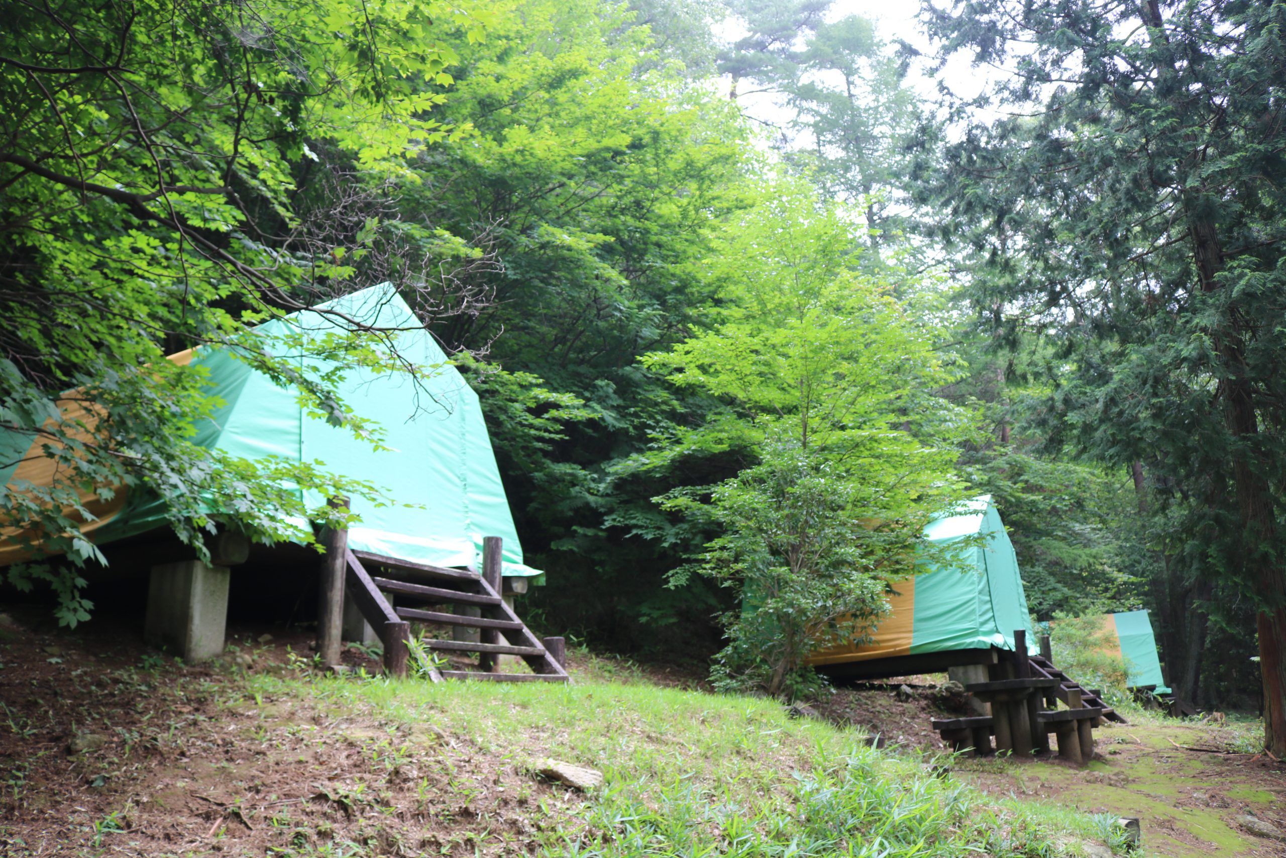 極楽寺山憩いの森キャンプ場 一般社団法人はつかいち観光協会