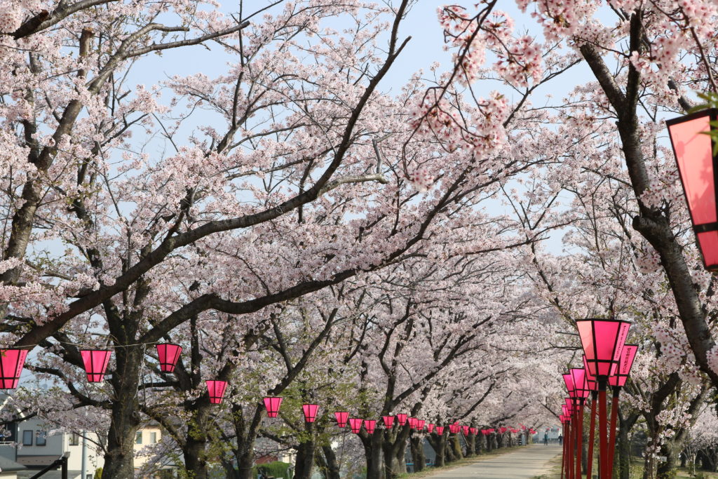 広島のお花見の名所として知られる春の観光地・住吉堤防