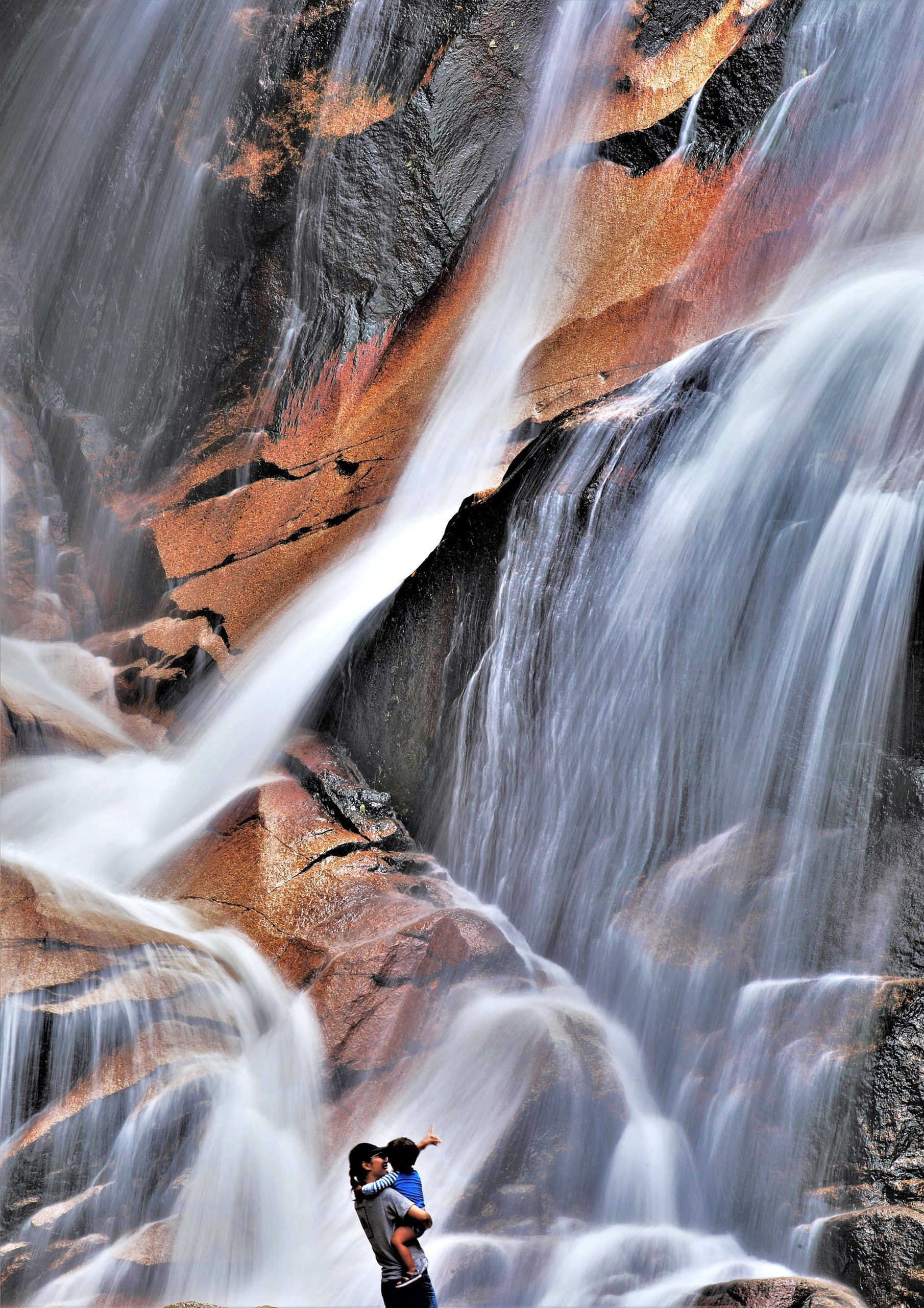 夏の日帰り家族旅行にぴったり。