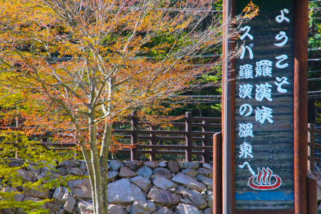 広島からドライブ観光で自然と温泉を楽しんで。夏休みのお出かけや秋の紅葉にも。