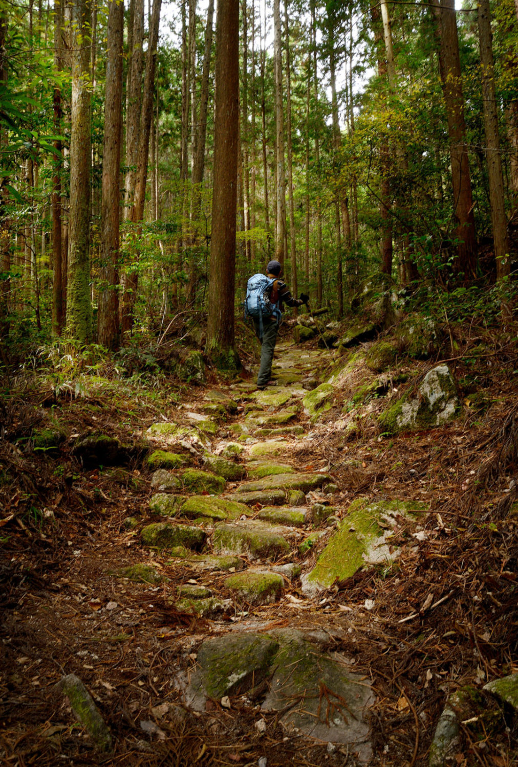 野の道 津和野街道 - 一般社団法人はつかいち観光協会