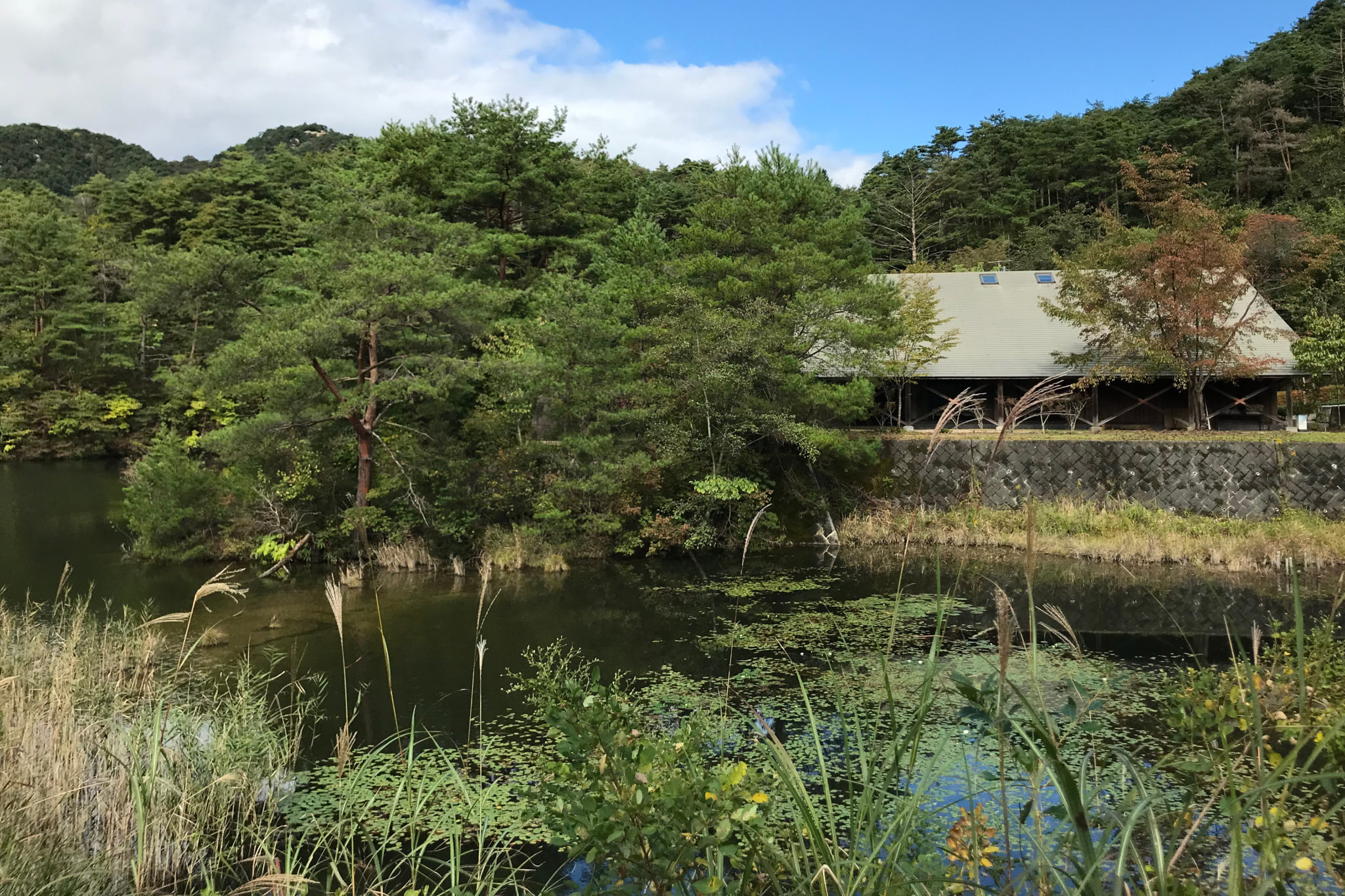 子供とのお出かけに、自然公園「おおの自然観察の森」は緑豊かな観光スポット